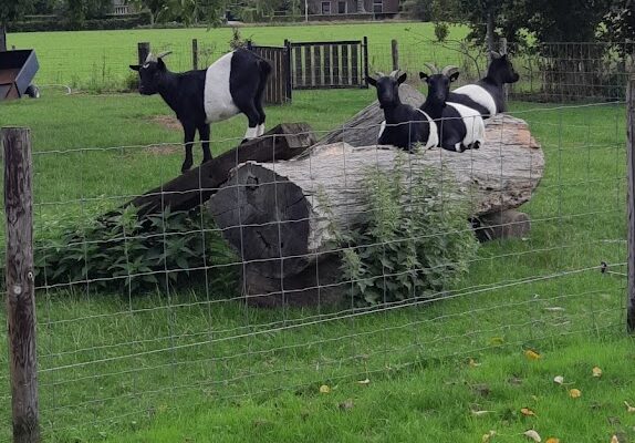 slapen-by-janssen-005