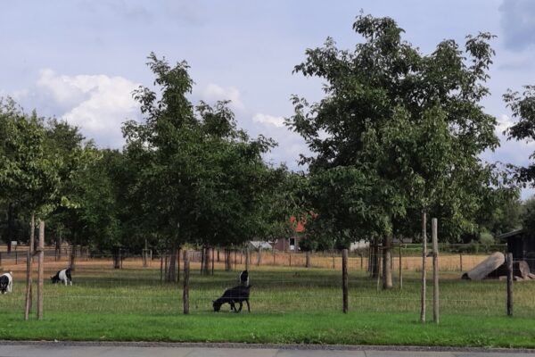 slapen-by-janssen-008